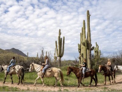 Saguaro Lake Ranch